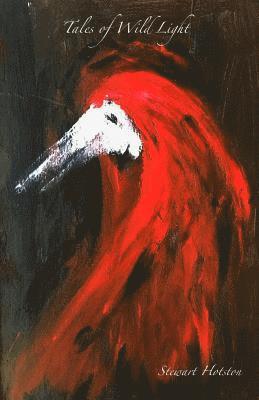 Stewart Hotston - Tales of Wild Light, Häftad