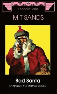 bokomslag Bad Santa