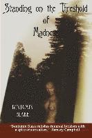 Benjamin Blake - Standing on the Threshold of Madness, Häftad
