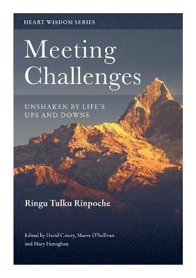 Meeting Challenges 1