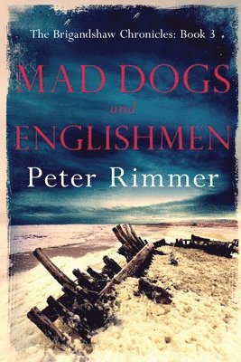 bokomslag Mad Dogs and Englishmen