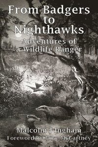 bokomslag From Badgers to Nighthawks: Adventures of a Wildlife Ranger
