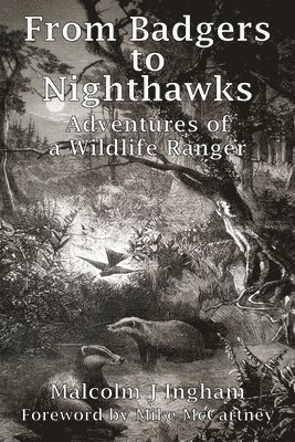 From Badgers to Nighthawks 1