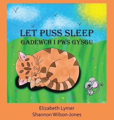 Let Puss Sleep 1