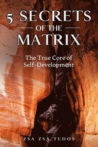 bokomslag 5 Secrets of The Matrix