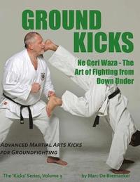 bokomslag Ground Kicks: Advanced Martial Arts Kicks for Groundfighting