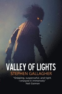 bokomslag Valley of Lights
