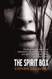 bokomslag The Spirit Box