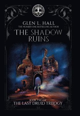 bokomslag Shadow Ruins