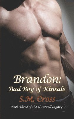 Brandon: Bad Boy of Kinsale 1