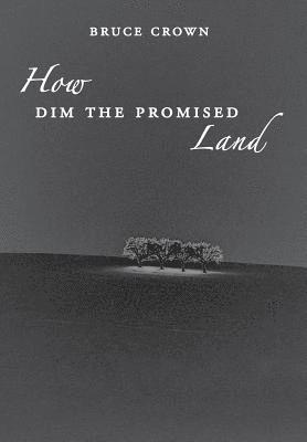 Bruce Crown - How Dim the Promised Land, Inbunden