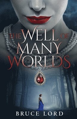 The Well of Many Worlds 1