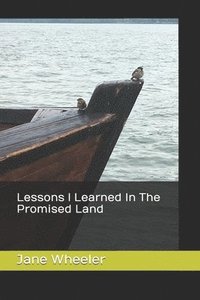 bokomslag Lessons I Learned in The Promised Land