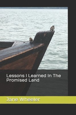 Jane Wheeler - Lessons I Learned in The Promised Land, Häftad