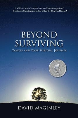 bokomslag Beyond Surviving