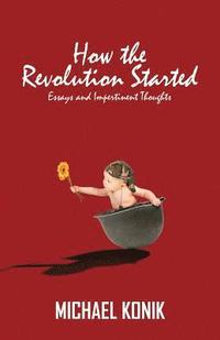 bokomslag How the Revolution Started: Essays and Impertinent Thoughts