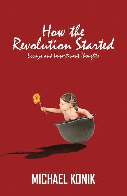 bokomslag How the Revolution Started: Essays and Impertinent Thoughts