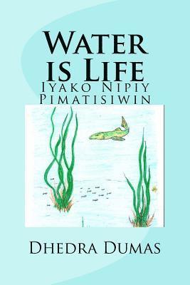 bokomslag Water is Life: Iyako Nipiy Pimatisiwin