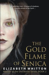 bokomslag The Gold Flame of Senica