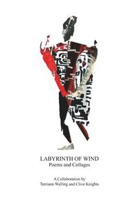 bokomslag Labyrinth of Wind