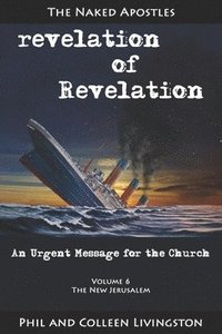 bokomslag The New Jerusalem (revelation of Revelation Series, Volume 6)