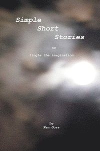bokomslag Simple Short Stories