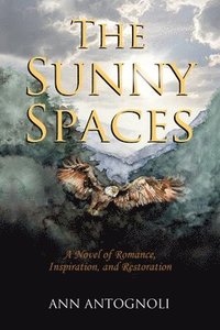 bokomslag The Sunny Spaces: A Novel of Romance, Inspiration, and Restoration