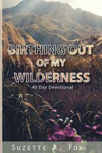 bokomslag Birthing Out of My Wilderness: 40 Day Devotion