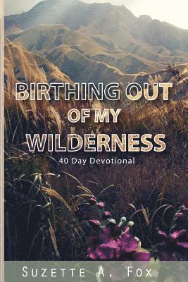 Birthing Out of My Wilderness: 40 Day Devotion 1