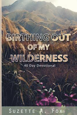 Suzette a. Fox - Birthing Out of My Wilderness: 40 Day Devotion, Häftad