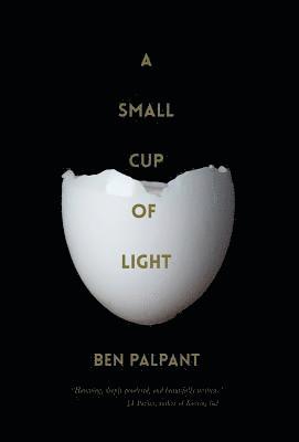 A Small Cup of Light 1