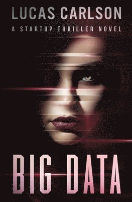 Lucas Carlson - Big Data: A Startup Thriller Novel, Häftad