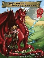 bokomslag Quest for the Dragon's Treasure