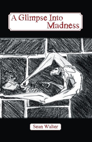bokomslag Glimpse Into Madness
