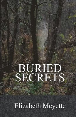 bokomslag Buried Secrets