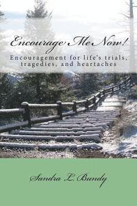 bokomslag Encourage Me Now!: Finding encouragement for every day trials, heartaches, and tragedies.