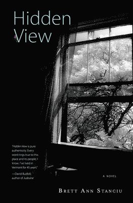Brett Ann Stanciu - Hidden View, Häftad