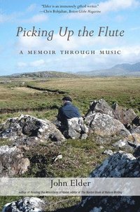 bokomslag Picking Up the Flute: A Memoir with Music