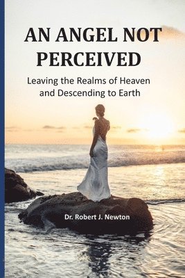 An Angel Not Perceived: Leaving the Realms of Heaven and Descending to Earth 1