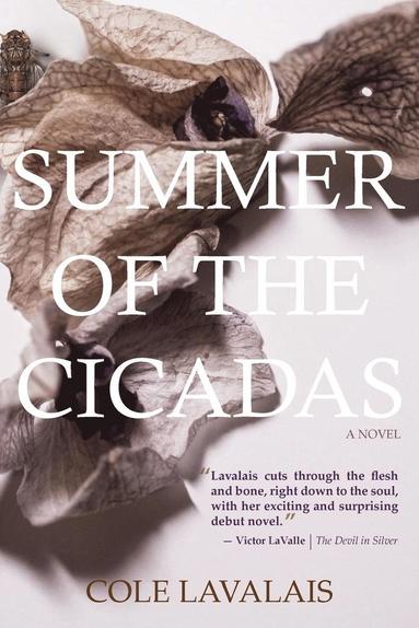 Cole Lavalais - Summer of the Cicadas, Häftad