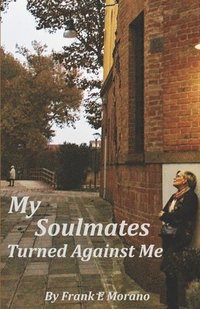 bokomslag My Soulmates Turned Against Me