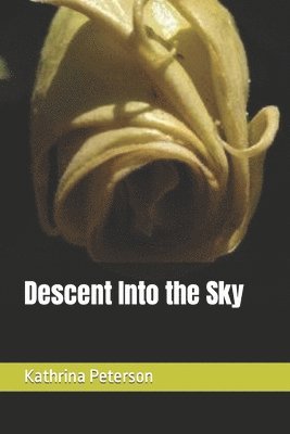 Descent Into the Sky 1