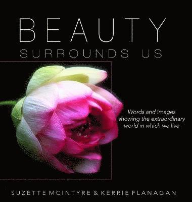 Beauty Surrounds Us 1