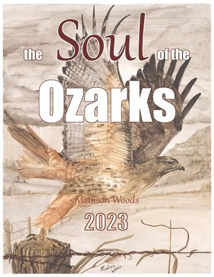 bokomslag The Soul of the Ozarks: The Paintings & Process of Madison Woods featuring the Wild Ozark pigments