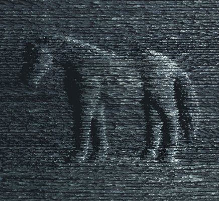 Wendy Steiner - Boaz Vaadia : Sculpture, Inbunden