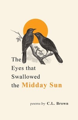 The Eyes That Swallowed the Midday Sun 1