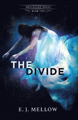 The Divide 1