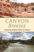 bokomslag Canyon Breezes: Exploring Magical Places in Nature