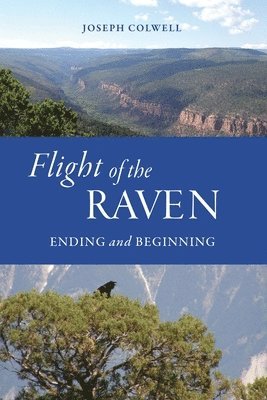 Flight of the Raven 1