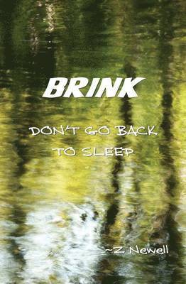 Brink 1